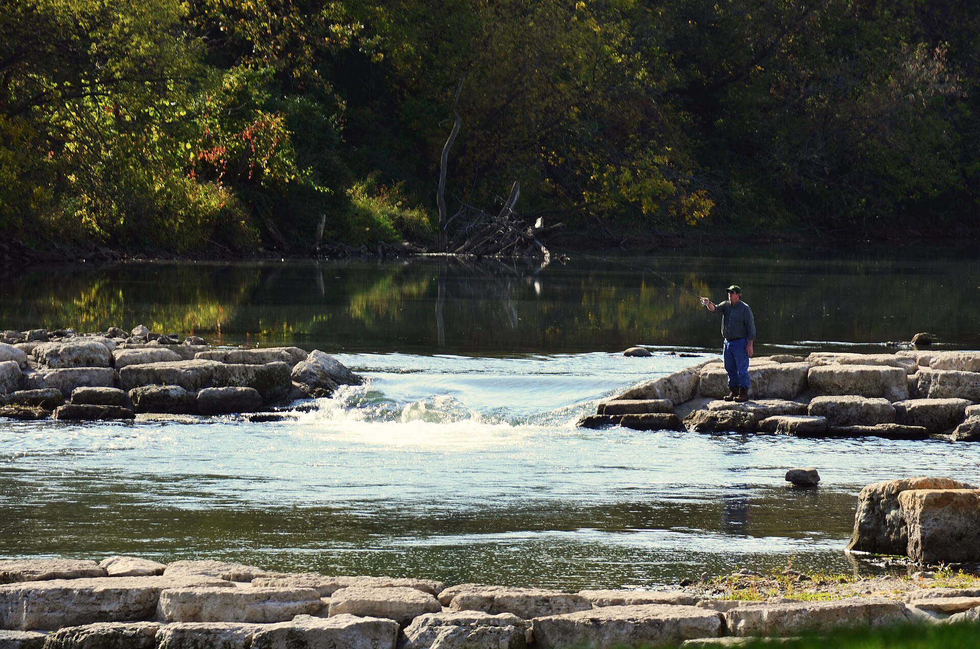 Stream rehabilitation has increased fish populations on the Maquoketa River in Manchester, IA.